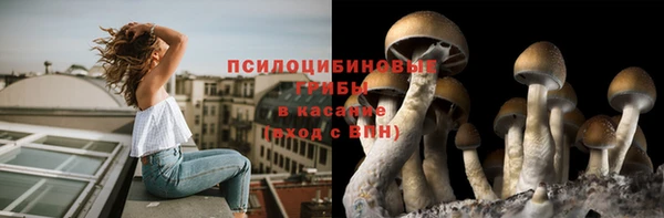 соль ск Навашино