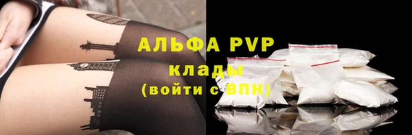 дживик Вяземский