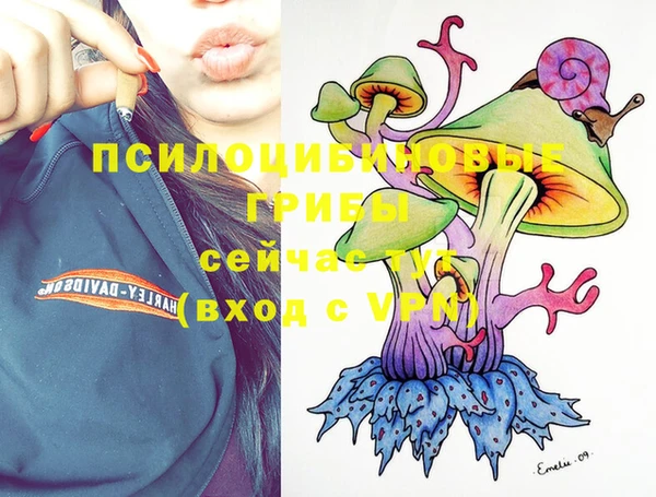 таблы Надым