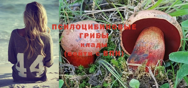 амф Михайловка