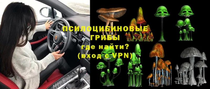 Псилоцибиновые грибы MAGIC MUSHROOMS  мега ССЫЛКА  Вилючинск  купить наркоту 