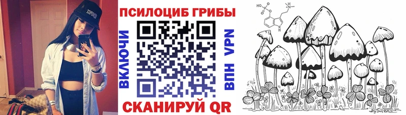 Галлюциногенные грибы MAGIC MUSHROOMS  купить закладку  Вилючинск 