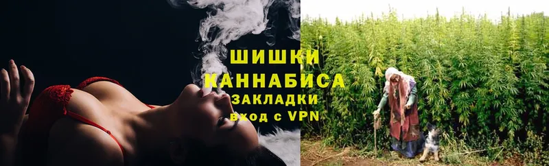 Шишки марихуана THC 21%  Вилючинск 